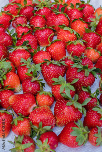 Many of ripe red strawberry 