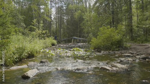 Landscape with forest and a river in front. Beautiful scenery. River in the forest photo