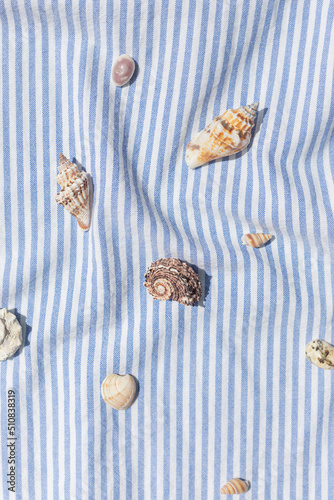 Different kinds of seashells on the blue striped fabric background top view