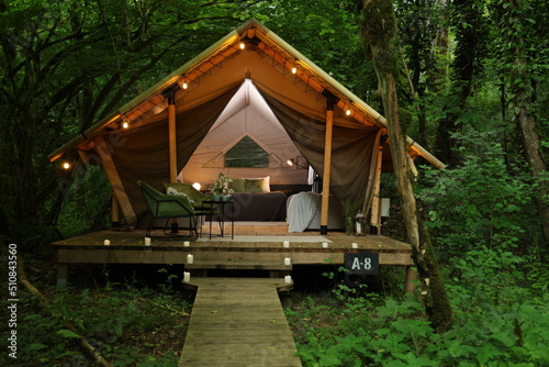 glamping in the green forest, camping in a tent