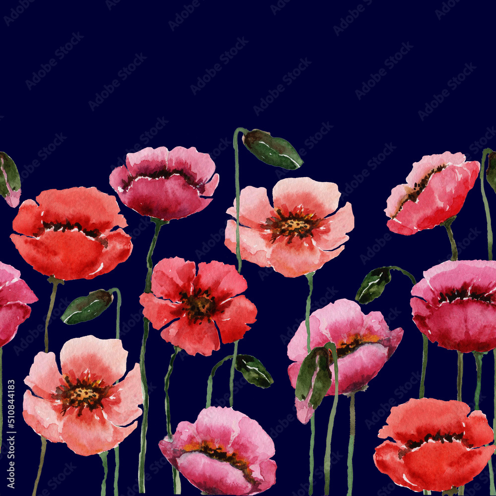 Obraz premium Watercolor seamless border wild flowers red poppies on a stem with buds. Blooming summer field. Hand-drawn watercolor on a dark blue background.