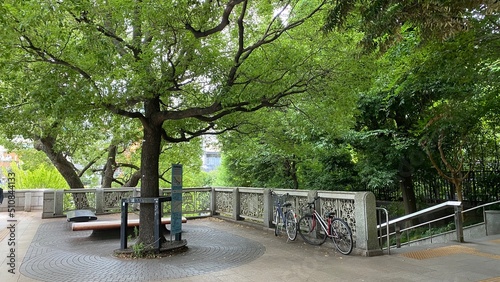 Canvas Print Beautiful trees & sense of nostalgia as I walk by the little street corner of “Yushima” Tokyo, beside a bridge over Kanda river, place known as origin of historical educational landmarks