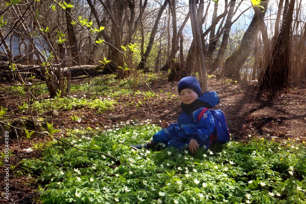 little child playing in the forest little child playing in the forest