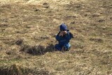 child playing in the field