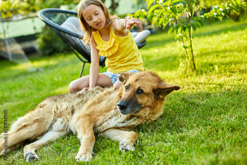 Cute girl and old dog enjoy summer day on the grass in the park