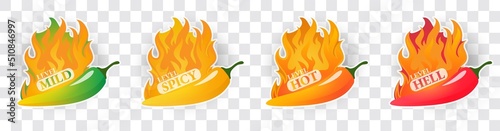 Spicy level Hot chili pepper icons set with flame and rating Mild, medium hot and extra hot level of pepper sauce or snack food Chile habanero and jalapeno level Vector spicy food illustration