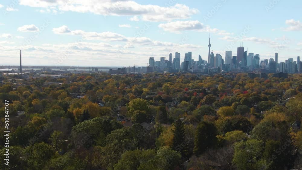 City panorama of Toronto shot over the tree tops on a sunny day City panorama of Toronto shot over the tree tops on a sunny day