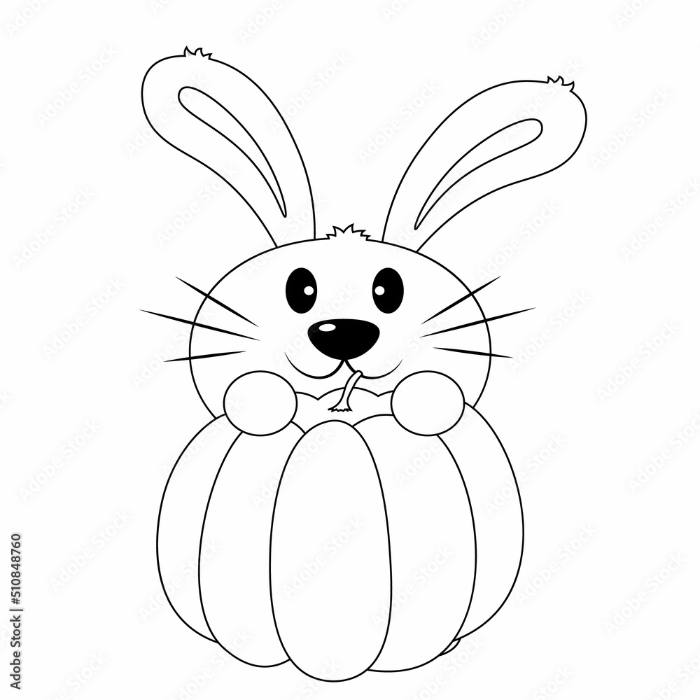 Cute cartoon Rabbit and pumpkin. Draw illustration in black and white Cute cartoon Rabbit and pumpkin. Draw illustration in black and white
