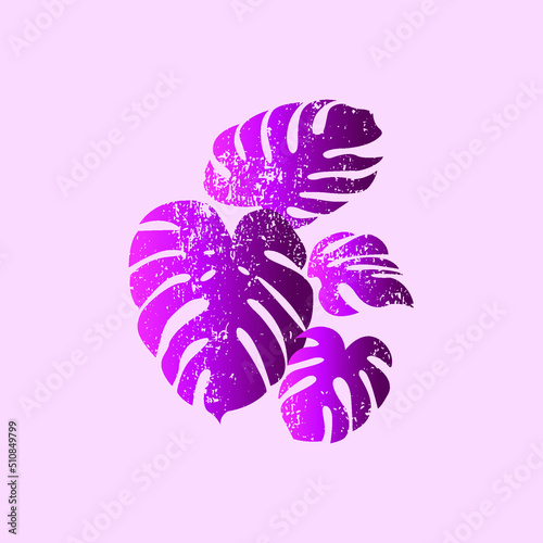 Monstera Plant Leaf Grunge Vector