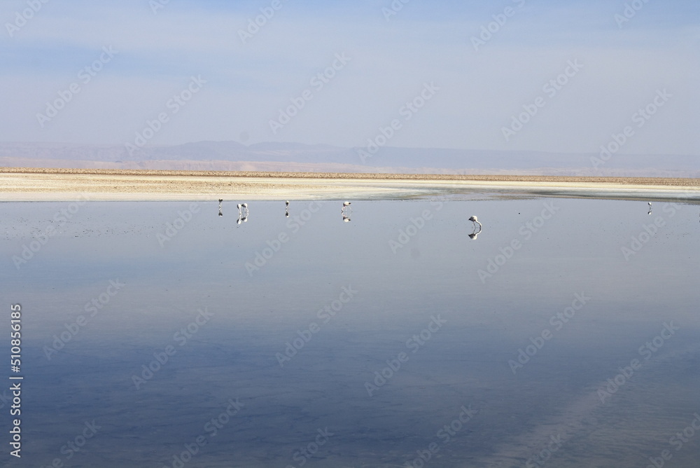 Salt lagunas and volcanos and red rocks southern from San Pedro de Atacama. Stunning scenery at Atacama desert, Chile, South America Salt lagunas and volcanos and red rocks southern from San Pedro de Atacama. Stunning scenery at Atacama desert, Chile, South America