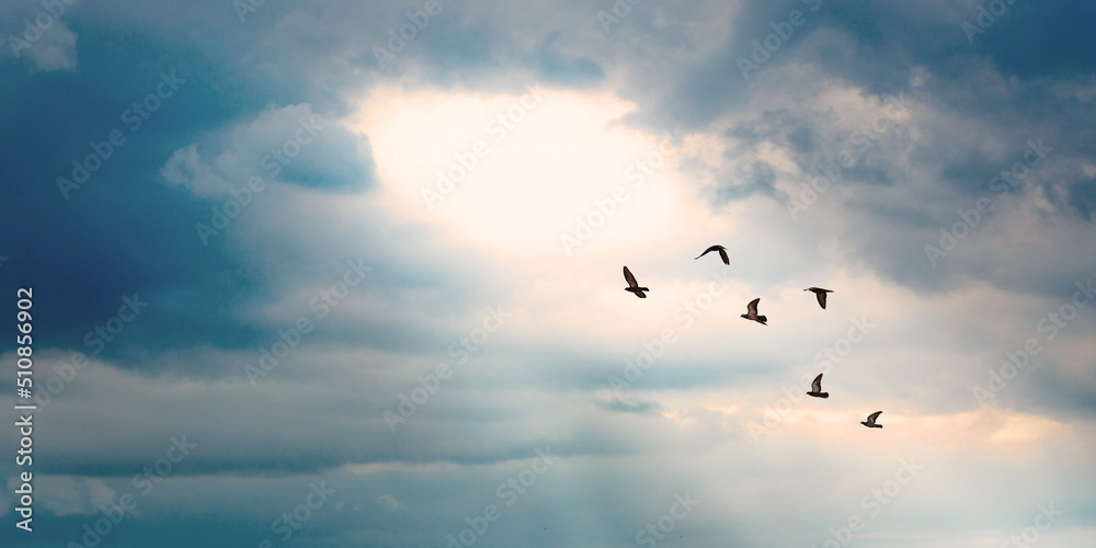 birds flying to the light hold on the cloud with light ray on blue sky background, peace and light at the end of the tunnel concept