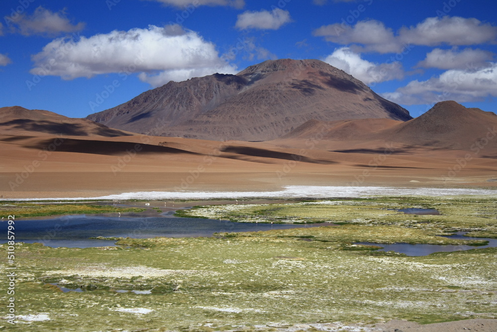 Panoramic view over the Atacama desert near Salar de Tara in Chile