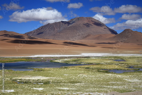 Panoramic view over the Atacama desert near Salar de Tara in Chile