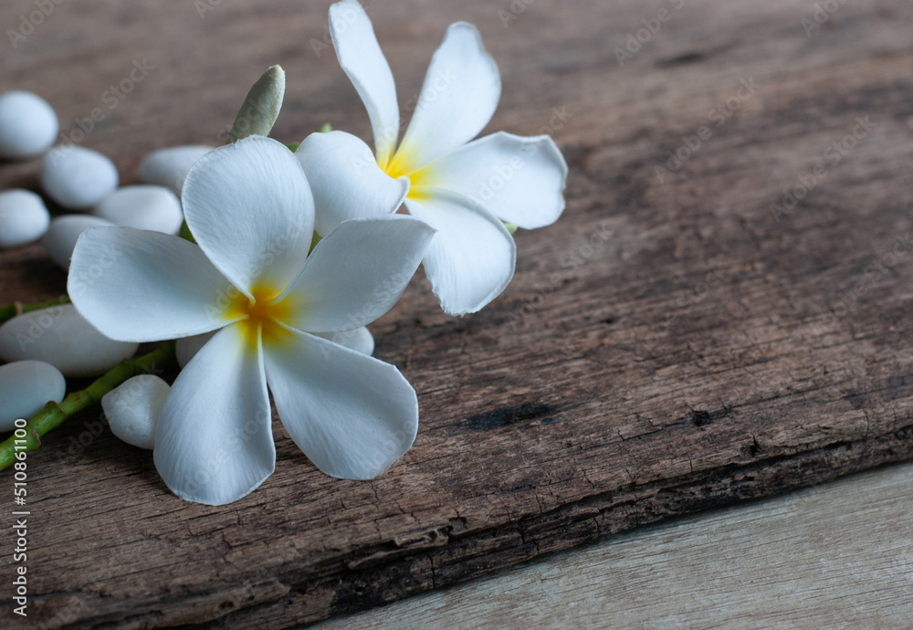 Frangipani flowers with white stones on a rustic wooden table.