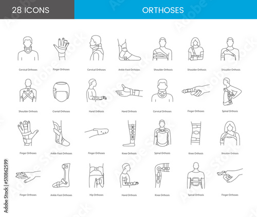 Orthoses linear icons in vector