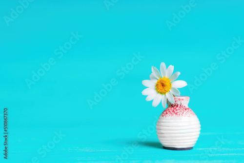 One daisy flower in a tiny ceramic vase on blue