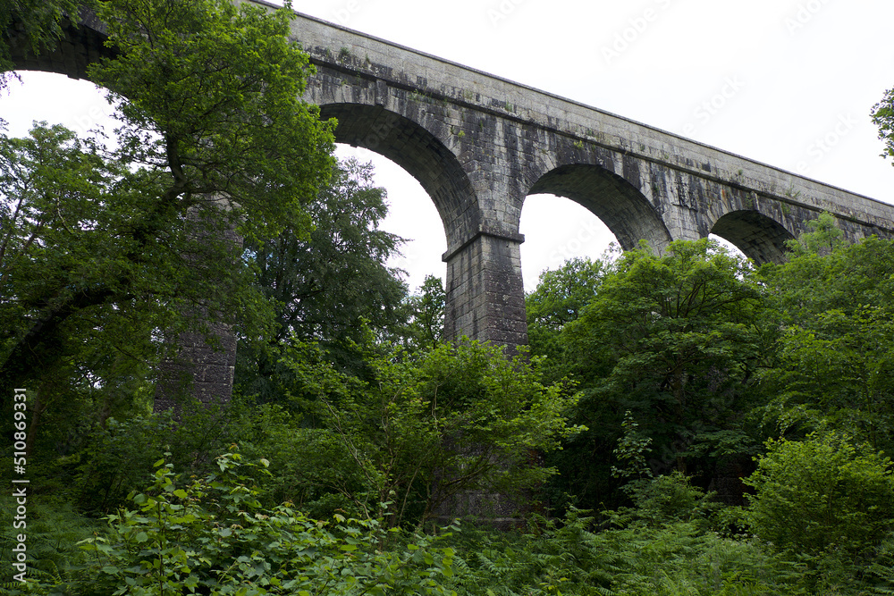 Treffry Viaduct 19th century industrial remains and World Heritage Site The Luxulyan Valley or Glynn Gwernan meaning alder tree valley River Par  Cornwall England UK 