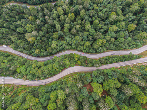 Aerial view on two roads crossing voges coniferous forest