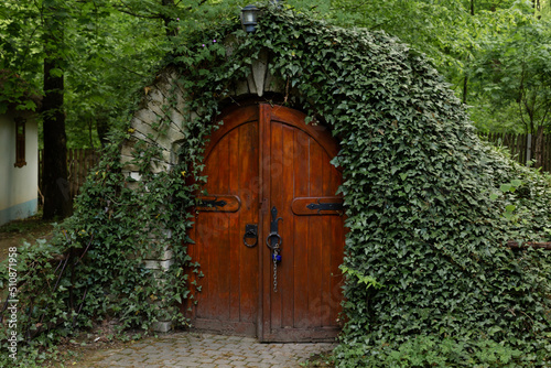 Anciant cellar door with ivy plant, Moldova.