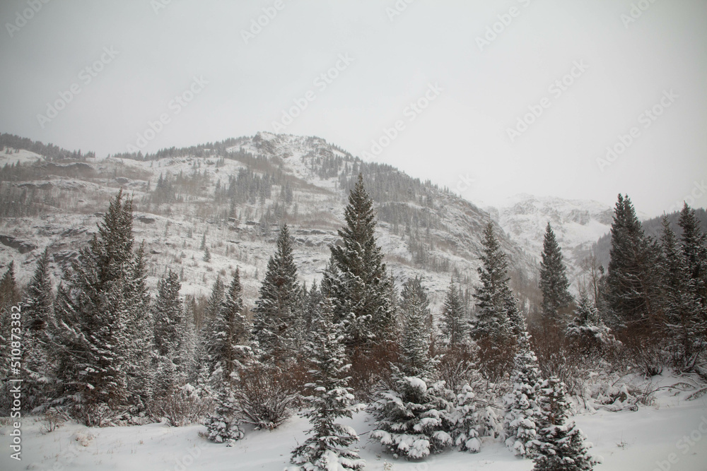 Obraz premium Snow covered mountains
