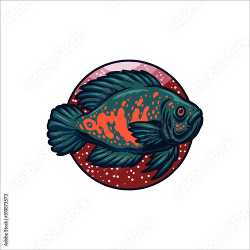 oscar fish illustration vector design