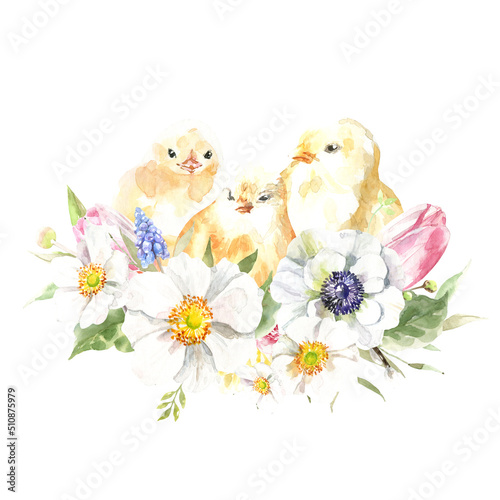 Watercolor farm animal chick bouquet. Single chicken isolated cute spring flora animal. Nursery woodland illustration.Farmhouse animsl for baby shower invitation, nursery decor, print, greeting card photo