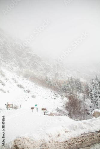 Snow covered mountains