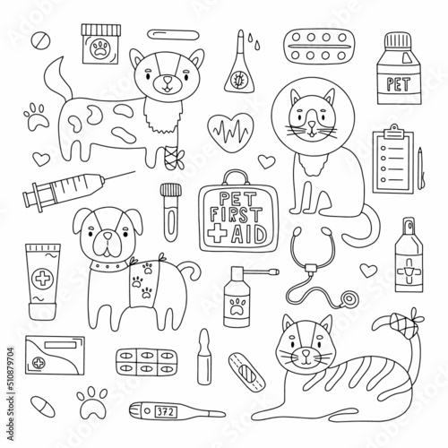 Hand drawn set for veterinary clinic. Pets and medicines for first aid. Doodle style vector illustration isolated on white background