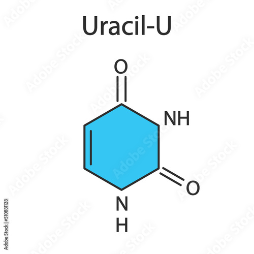 Uracil (U) nucleobase molecule. Present in ribonucleic acid (RNA).