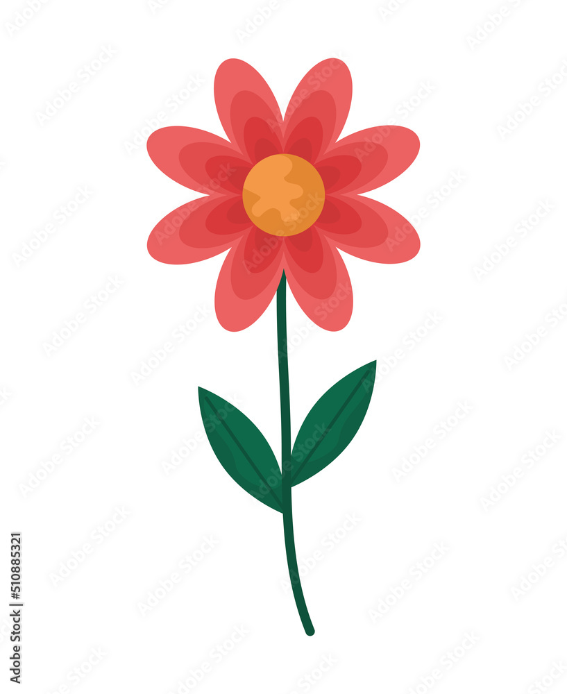 cute red flower cute red flower