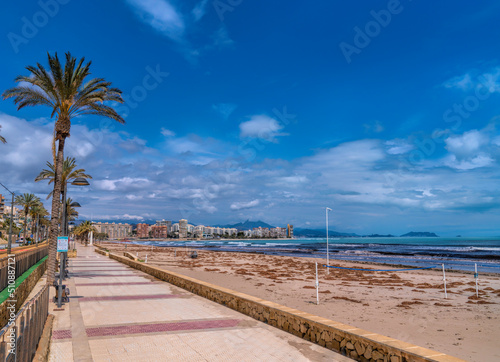 Muchavista beach and promenade with palm trees El Campello Costa Blanca Alicante Spain near Benidorm