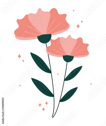 pair of pink flowers