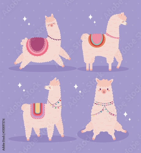 happy llamas set