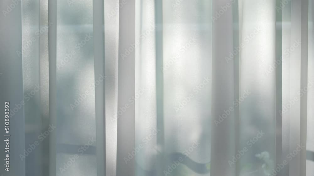 Abstract gray shadow background of natural leaves tree branch falling on transparent curtain. Sunlight  shine through transparent tulle. Morning sunlight through window and white curtains