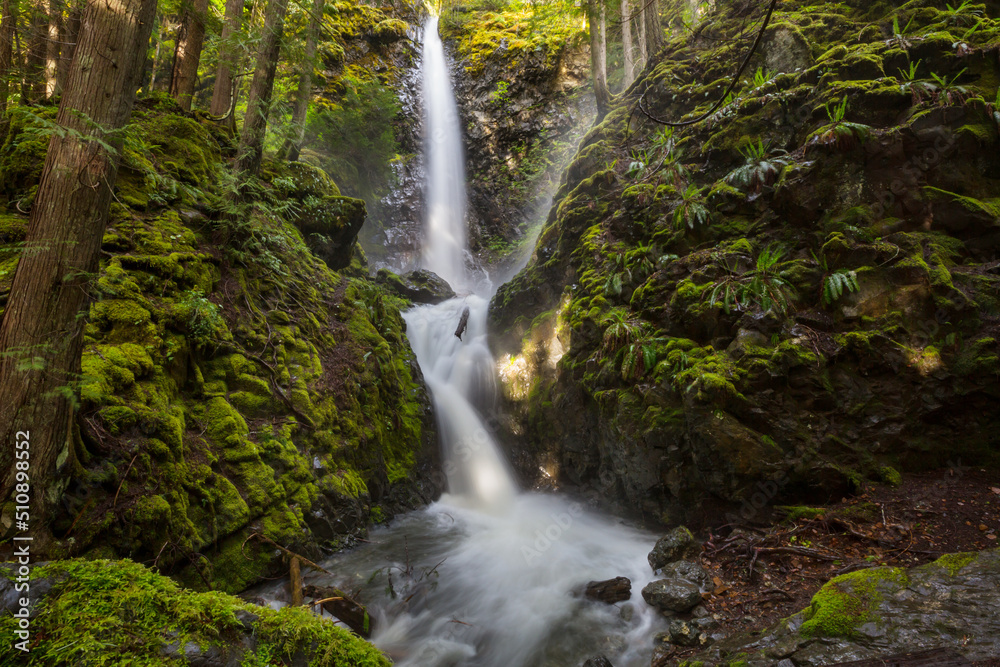 Fototapeta premium Waterfall in the forest