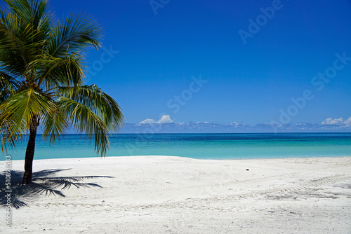 palm trees on a tropical island © chriss73