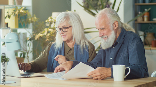 An Elderly Man and Woman Pay Bills And Manage a Budget  Do Accounting Checks  Check Receipts With a Laptop While Sitting at Their Desk at Home. Modern Devices  Technology and Retirement Concept.