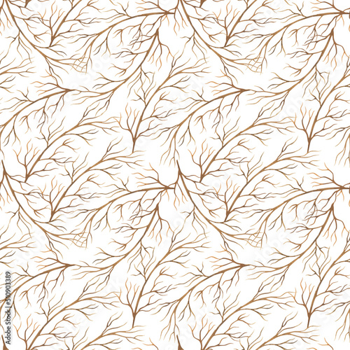 Dry intertwined branches. Branches of trees. Tree forest pattern on white background.