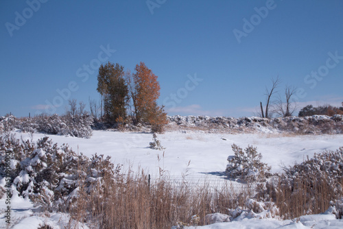 Wallpaper Mural landscape with snow Torontodigital.ca
