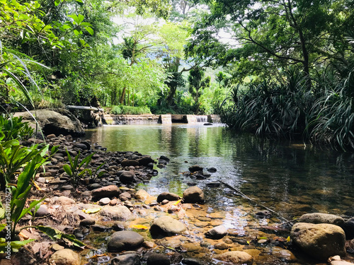 Silence River flows down from the center of the jungle photo