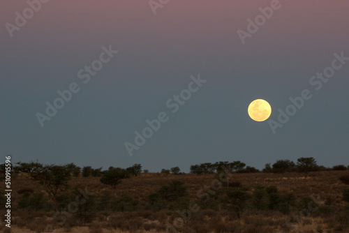 Full moon and landscape in the Kgalagadi