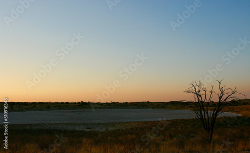 Kalahari Sunset, Kgalgadi, South Africa