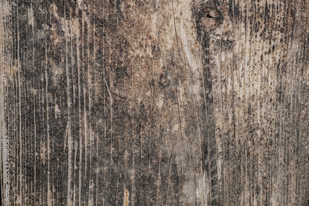Fototapeta premium Wooden rough timber old aged. material wall