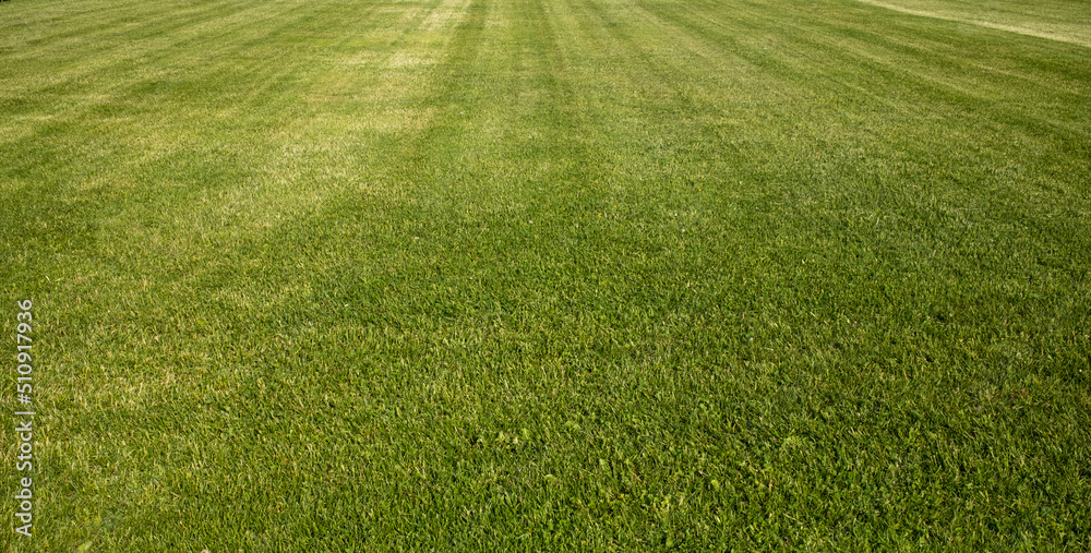 Perfect lawn. Freshly cut lawn. New lawn. Trimmed grass. Neat lawn. Clean lawn. Perfect lawn. Freshly cut lawn. New lawn. Trimmed grass. Neat lawn. Clean lawn.