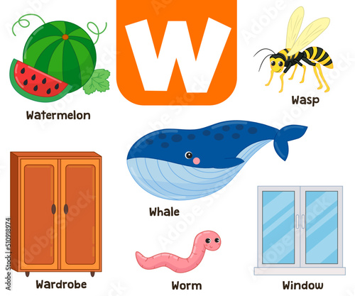 English alphabet in pictures — Children's colored letter W — vector illustration