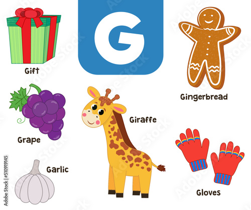 English alphabet in pictures — Children's colored letter G — vector illustration