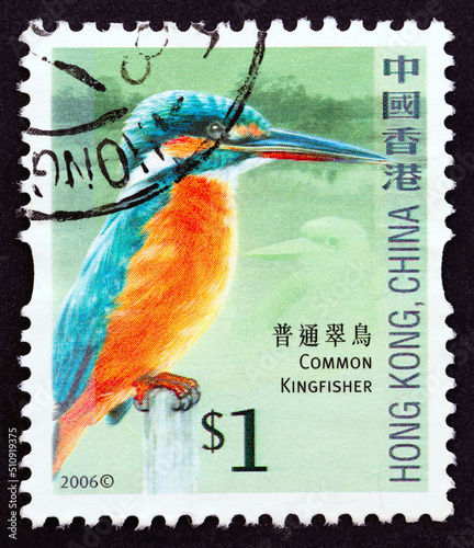Common kingfisher, Alcedo atthis (Hong Kong 2006) photo