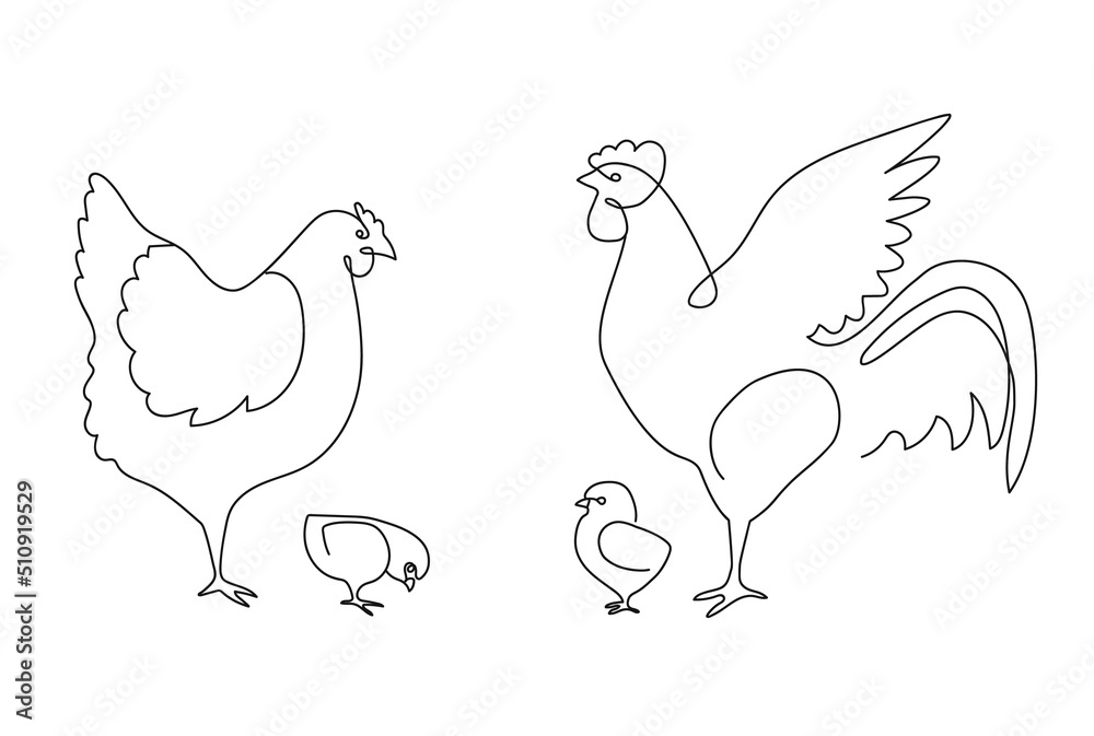 One line chicken family. Rooster, hen and chickens, farm birds continuous line vector illustration One line chicken family. Rooster, hen and chickens, farm birds continuous line vector illustration