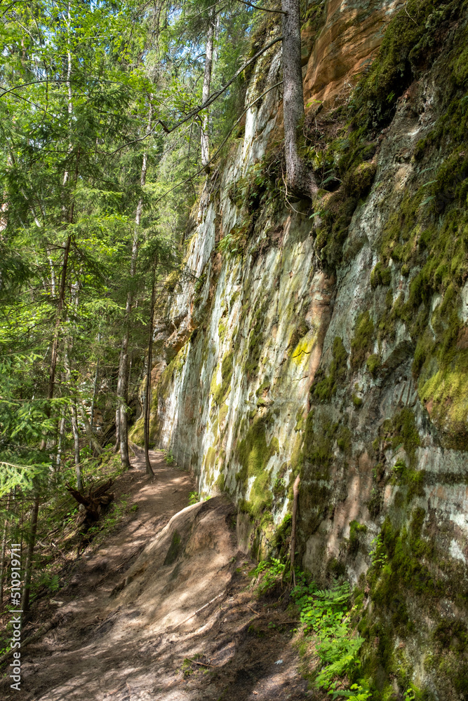 sandstone cliffs is approximately one kilometre long and is located on the left side of the primeval valley of the River Gauja. Latvia sandstone cliffs is approximately one kilometre long and is located on the left side of the primeval valley of the River Gauja. Latvia