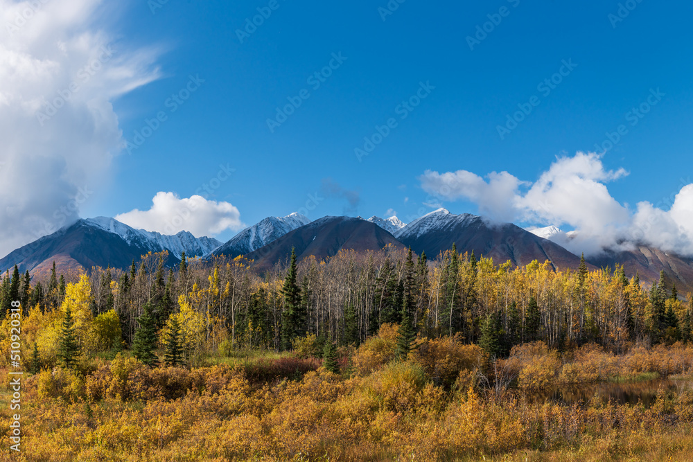The remarkable, stunning, autumn, fall landscape of Yukon Territory in Northern Canada. Highway, road trip shot with mountain views.